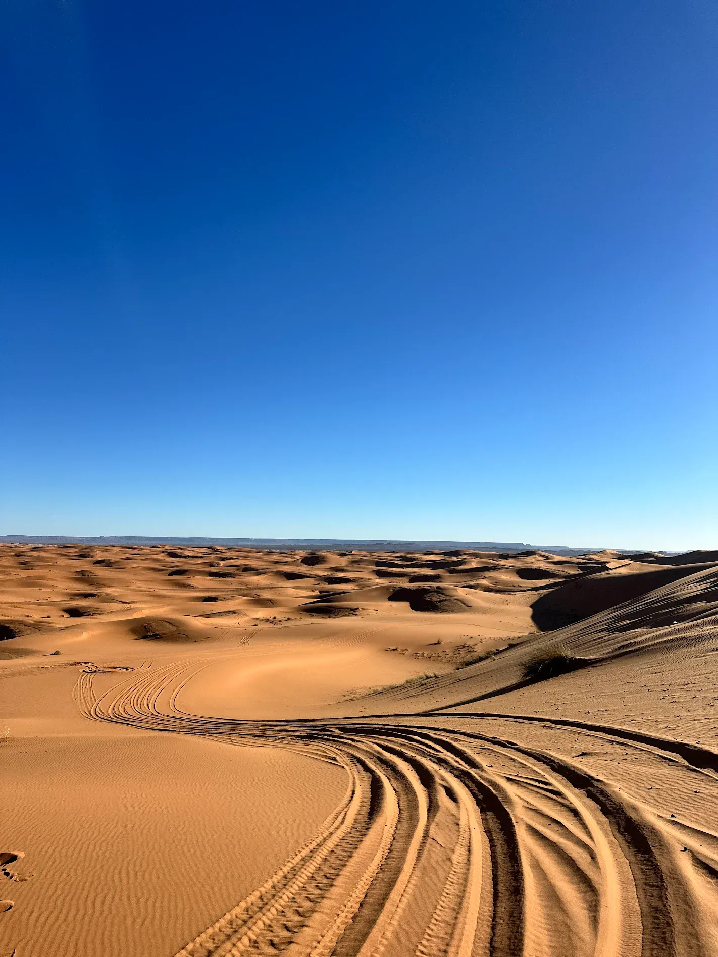Fotografía del artículo «La mejor época para viajar al desierto de Marruecos»