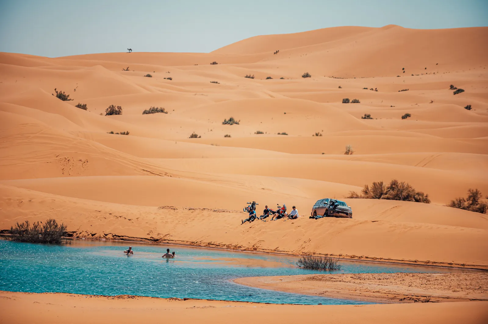 Oasis turquesa entre las dunas del desierto de Marruecos durante un viaje aventura 4x4